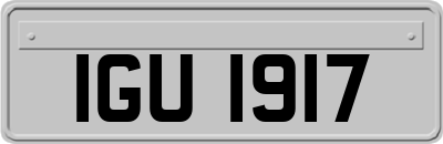 IGU1917
