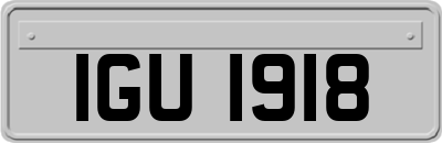 IGU1918