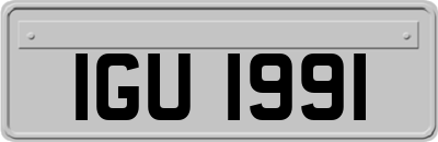 IGU1991