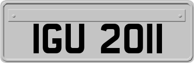 IGU2011