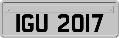 IGU2017