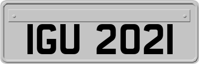 IGU2021