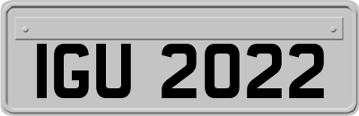 IGU2022