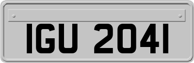IGU2041