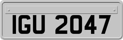 IGU2047