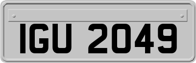 IGU2049