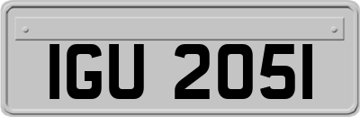 IGU2051