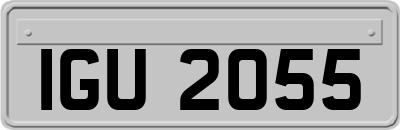 IGU2055