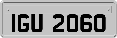 IGU2060