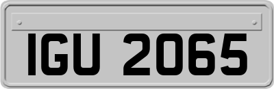 IGU2065