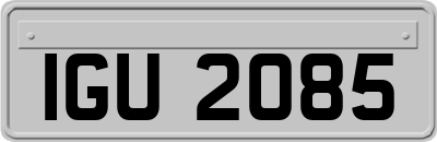 IGU2085