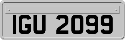 IGU2099
