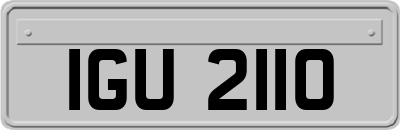 IGU2110