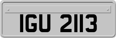 IGU2113