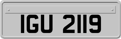IGU2119