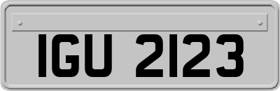 IGU2123