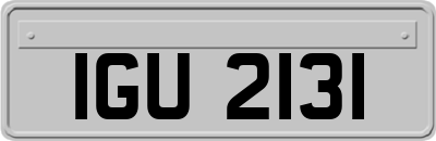 IGU2131