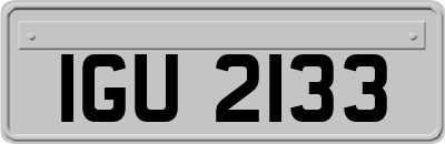 IGU2133