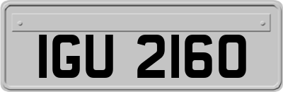 IGU2160