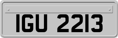 IGU2213
