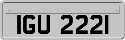 IGU2221