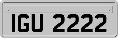 IGU2222