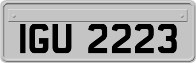 IGU2223