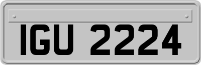 IGU2224