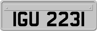 IGU2231