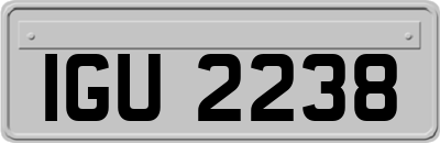 IGU2238