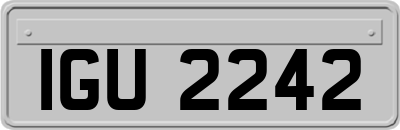IGU2242
