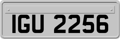 IGU2256