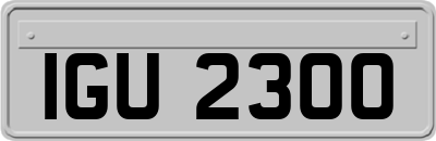 IGU2300