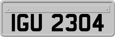IGU2304