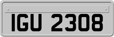 IGU2308