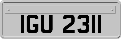 IGU2311
