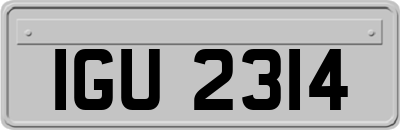 IGU2314