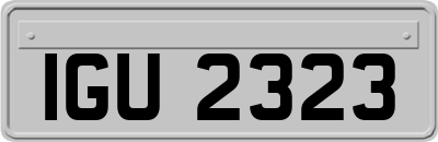IGU2323