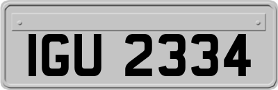 IGU2334