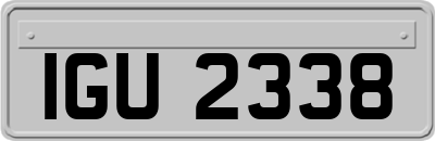IGU2338