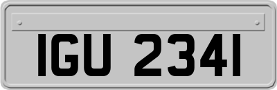 IGU2341