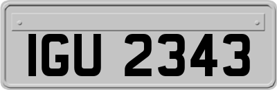 IGU2343