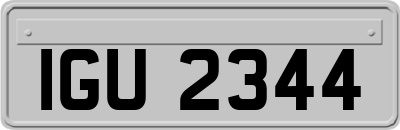 IGU2344
