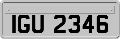IGU2346