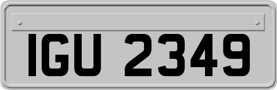 IGU2349