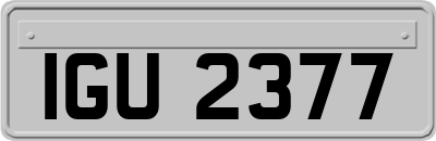 IGU2377