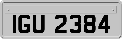IGU2384