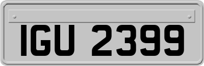 IGU2399