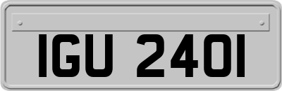 IGU2401