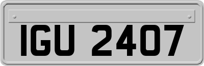 IGU2407